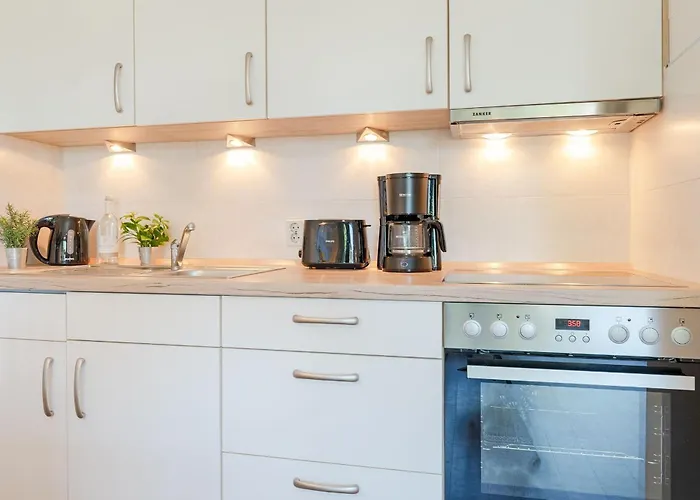 公寓 Haus Bellevue Moewensuite 沙博伊茨